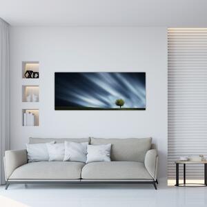 Slika polarne svijetlosti iznad polja vrijeska (120x50 cm)