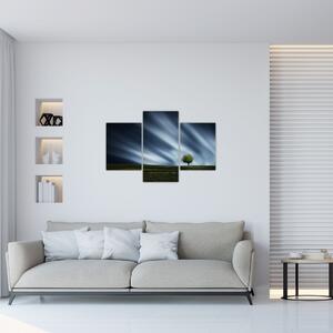 Slika polarne svijetlosti iznad polja vrijeska (90x60 cm)