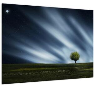 Slika polarne svijetlosti iznad polja vrijeska (70x50 cm)
