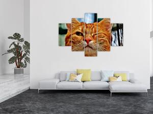 Slika mačke koja namiguje (150x105 cm)