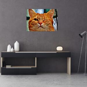 Slika mačke koja namiguje (70x50 cm)