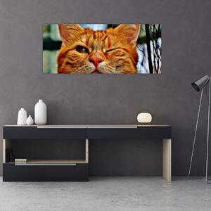 Slika mačke koja namiguje (120x50 cm)