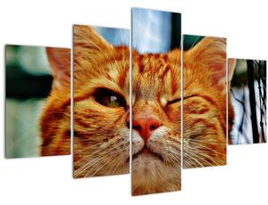 Slika mačke koja namiguje (150x105 cm)