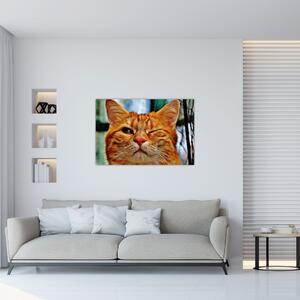 Slika mačke koja namiguje (90x60 cm)