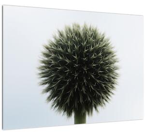 Slika cvjetne kugle (70x50 cm)