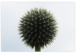 Slika cvjetne kugle (90x60 cm)