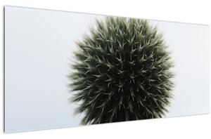 Slika cvjetne kugle (120x50 cm)