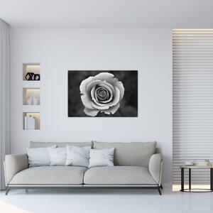 Slika ruže (90x60 cm)