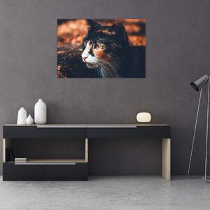 Slika - Pogled mačke (90x60 cm)