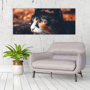 Slika - Pogled mačke (120x50 cm)