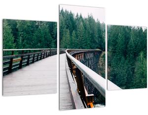 Slika - Most do vrhova drveća (90x60 cm)