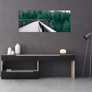 Slika - Most do vrhova drveća (120x50 cm)