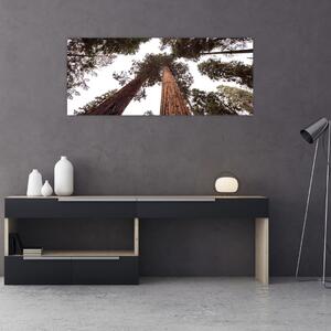 Slika - Pogled kroz krošnje stabala (120x50 cm)