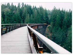 Slika - Most do vrhova drveća (70x50 cm)
