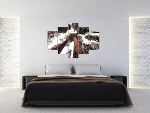 Slika - Pogled kroz krošnje stabala (150x105 cm)