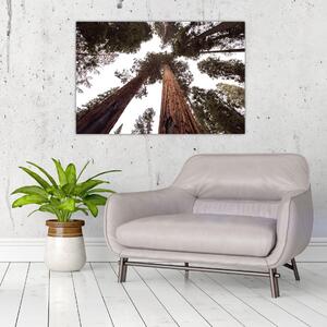 Slika - Pogled kroz krošnje stabala (90x60 cm)