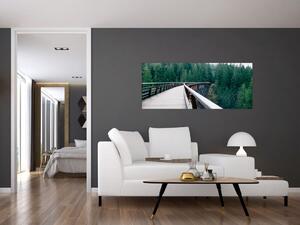 Slika - Most do vrhova drveća (120x50 cm)