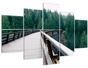 Slika - Most do vrhova drveća (150x105 cm)