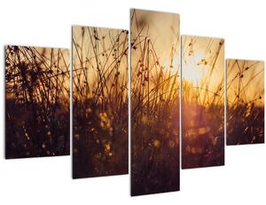 Slika polja pri zalasku sunca (150x105 cm)