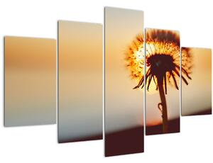 Slika Maslačak pri zalasku sunca (150x105 cm)