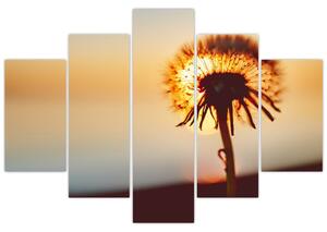 Slika Maslačak pri zalasku sunca (150x105 cm)
