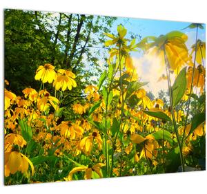 Slika žutog cvijeća (70x50 cm)