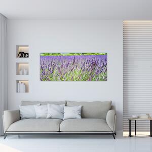 Slika polja s lavandom (120x50 cm)