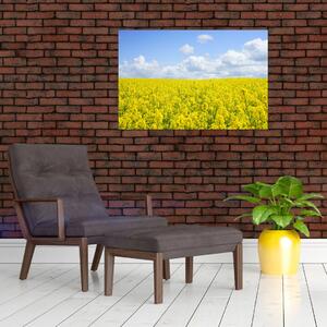 Slika žutog polja (90x60 cm)