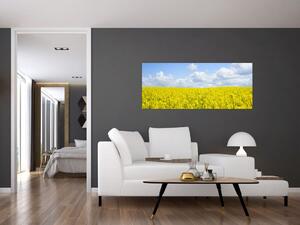 Slika žutog polja (120x50 cm)