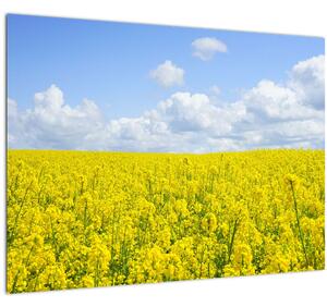 Slika žutog polja (70x50 cm)