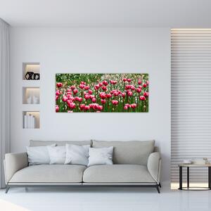 Slika tulipana (120x50 cm)