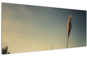 Slika sa travom (120x50 cm)