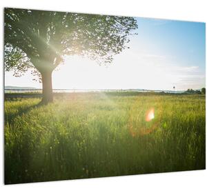 Slika stabla u polju (70x50 cm)