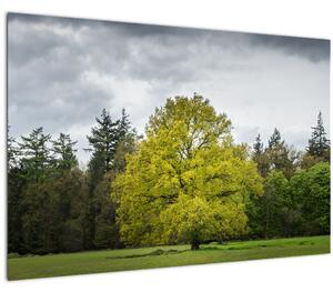 Slika zelenog stabla usred polja (90x60 cm)