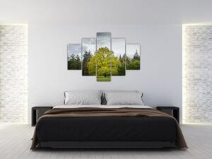 Slika zelenog stabla usred polja (150x105 cm)