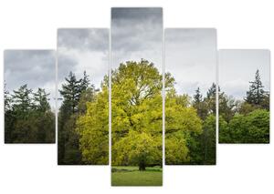 Slika zelenog stabla usred polja (150x105 cm)