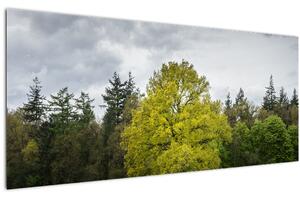 Slika zelenog stabla usred polja (120x50 cm)