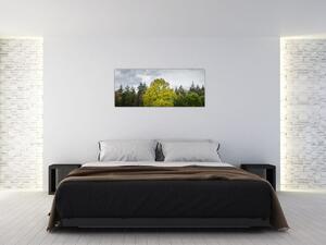 Slika zelenog stabla usred polja (120x50 cm)