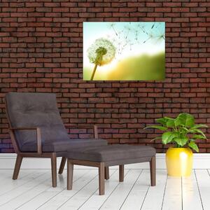 Staklena slika - Maslačak na vjetru (70x50 cm)