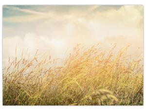 Slika - Polje u jesen (70x50 cm)