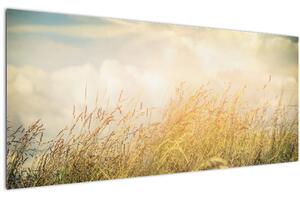 Slika - Polje u jesen (120x50 cm)