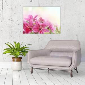 Slika - Ružičasto cvijeće (70x50 cm)