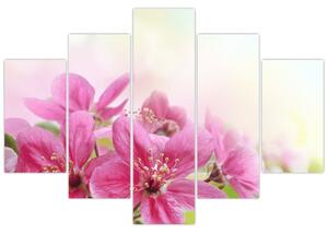 Slika - Ružičasto cvijeće (150x105 cm)
