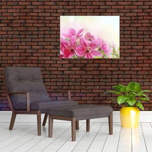 Slika - Ružičasto cvijeće (70x50 cm)