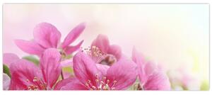 Slika - Ružičasto cvijeće (120x50 cm)