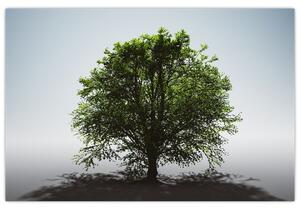 Slika - Usamljeno stablo (90x60 cm)
