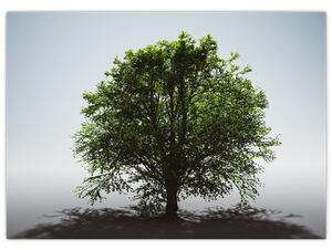Slika - Usamljeno stablo (70x50 cm)