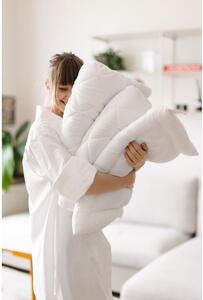 Punjenje za jastuk od mikrovlakana 40x60 cm - Bonami Essentials