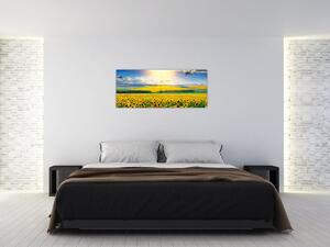 Slika - Polje suncokreta (120x50 cm)