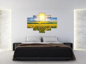Slika - Polje suncokreta (150x105 cm)